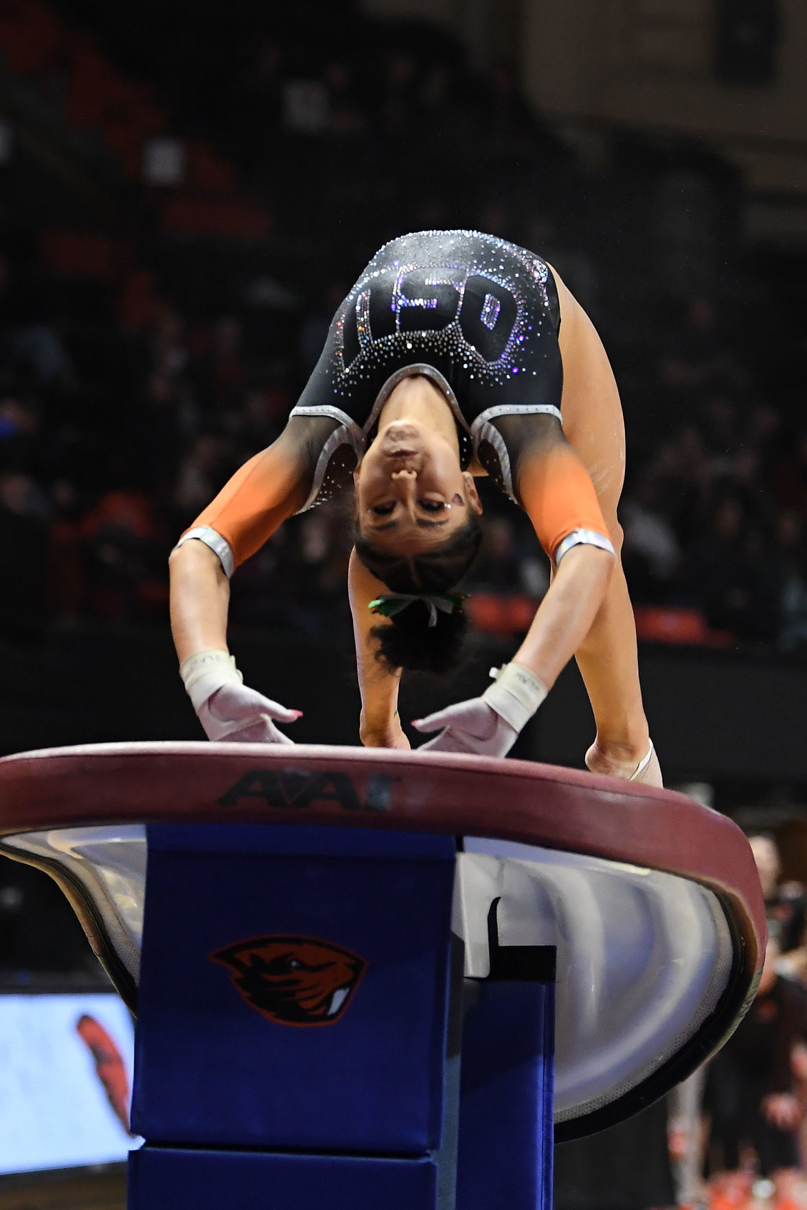020820-cgt-gallery-spt-osu vs lsu & asu-gymnasticcs-ln443.JPG